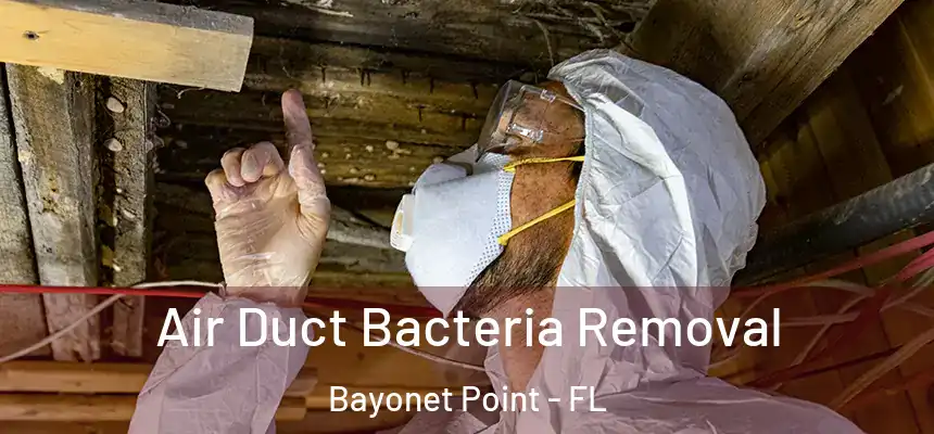 Air Duct Bacteria Removal Bayonet Point - FL