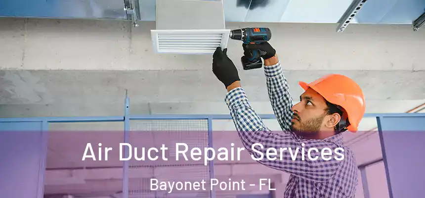 Air Duct Repair Services Bayonet Point - FL