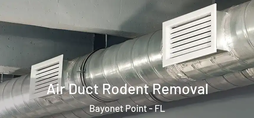 Air Duct Rodent Removal Bayonet Point - FL