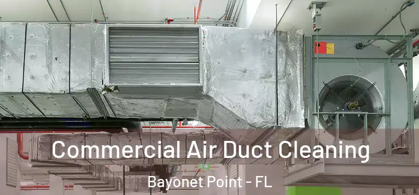 Commercial Air Duct Cleaning Bayonet Point - FL