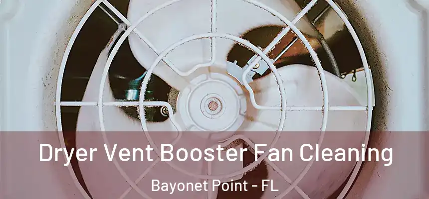 Dryer Vent Booster Fan Cleaning Bayonet Point - FL