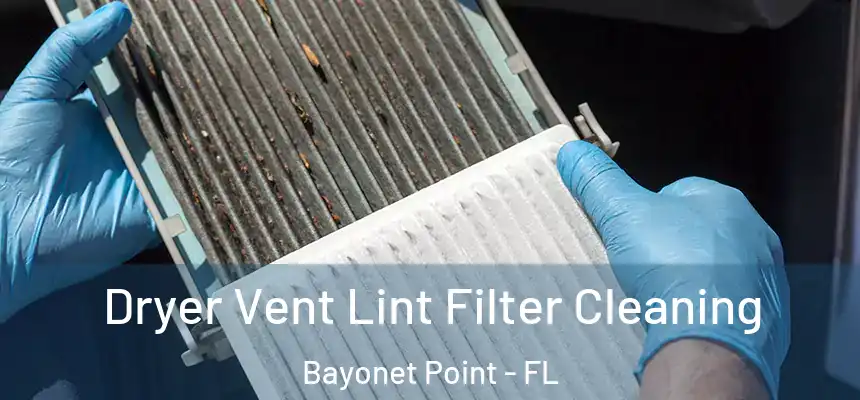 Dryer Vent Lint Filter Cleaning Bayonet Point - FL