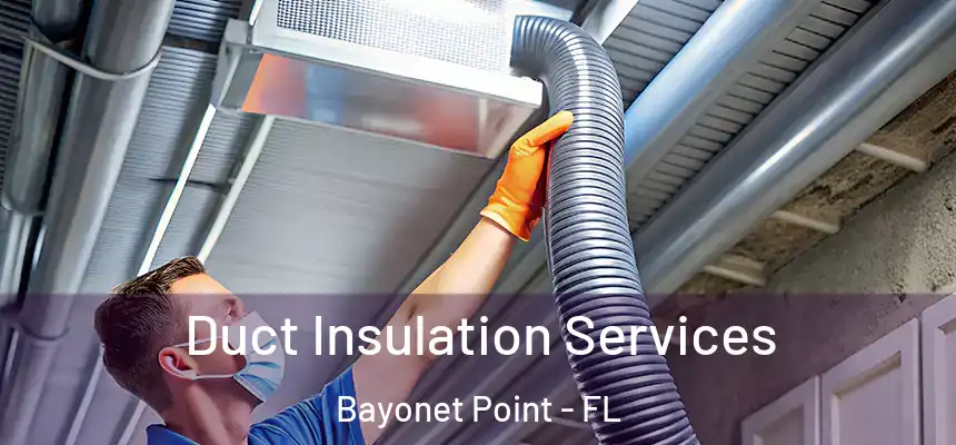 Duct Insulation Services Bayonet Point - FL
