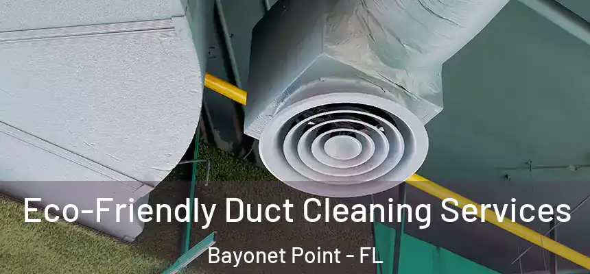 Eco-Friendly Duct Cleaning Services Bayonet Point - FL