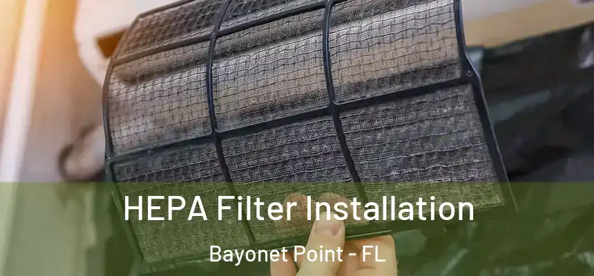HEPA Filter Installation Bayonet Point - FL