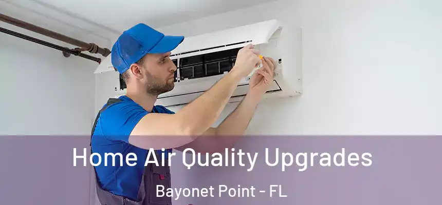 Home Air Quality Upgrades Bayonet Point - FL