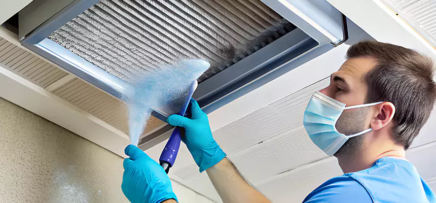 Proactive Dryer Vent & Auxiliary Duct Pollen Cleanup in Bayonet Point, FL