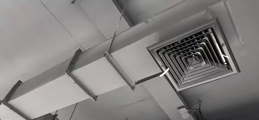 Our Rodent Droppings In Vents Services in Bayonet Point, FL