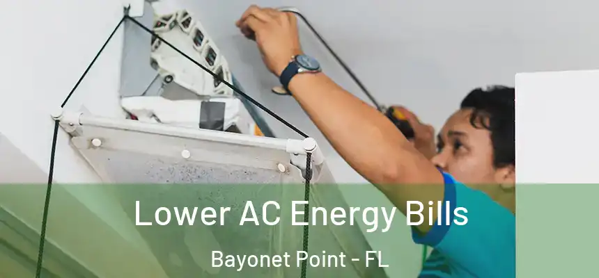 Lower AC Energy Bills Bayonet Point - FL