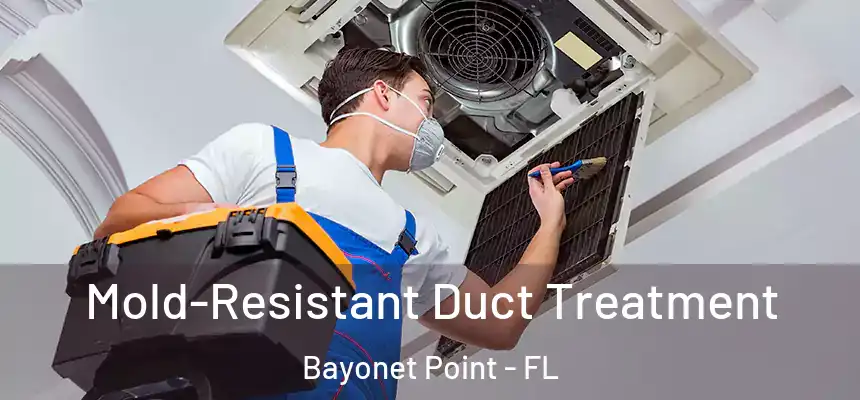 Mold-Resistant Duct Treatment Bayonet Point - FL