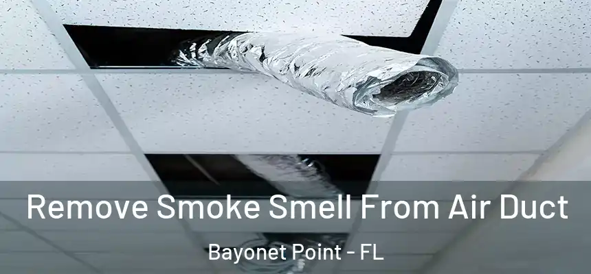 Remove Smoke Smell From Air Duct Bayonet Point - FL