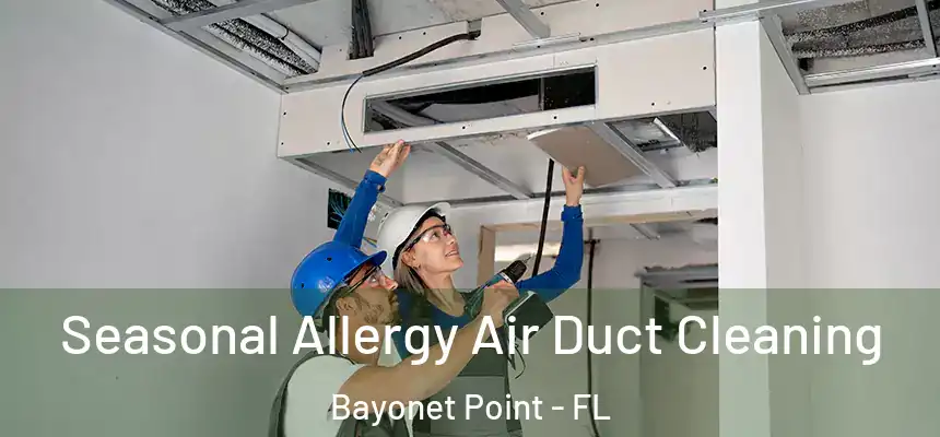 Seasonal Allergy Air Duct Cleaning Bayonet Point - FL