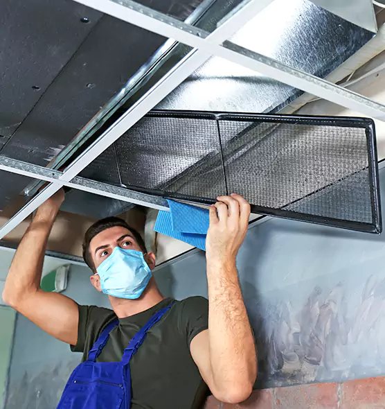 About Air Duct Bacteria Removal in Bayonet Point