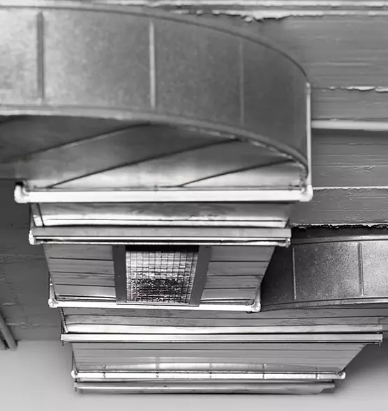 Professional Air Duct Pet Hair Removal in Bayonet Point, FL