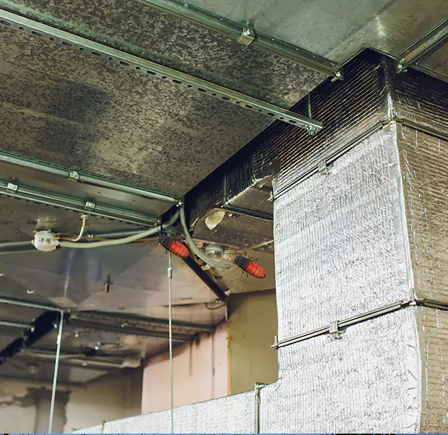 Why Homeowners & Businesses Trust Us in Bayonet Point, FL?