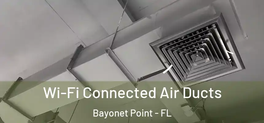 Wi-Fi Connected Air Ducts Bayonet Point - FL